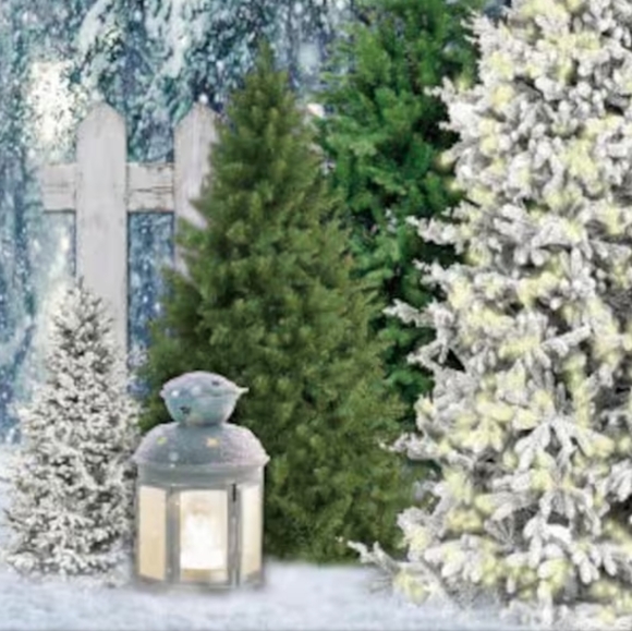 Meet your Posher, Marsha - Picture 10 of 16